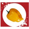 Habanero hot lemon