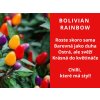 Chilli paprika bolivian rainbow