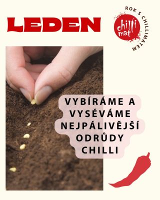 Leden je ideální čas na plánování a první výsevy chilli papriček. Vybíráme ty nejpálivější odrůdy a pomalu startujeme...