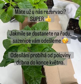 Pokud máš rezervaci – počítáme s tebou. Na nikoho jsme nezapomněli. 💚 Rezervace si u nás lidé tvoří už od ledna a my je...