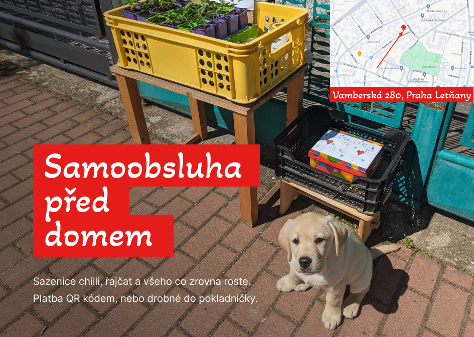 Samoobsluha