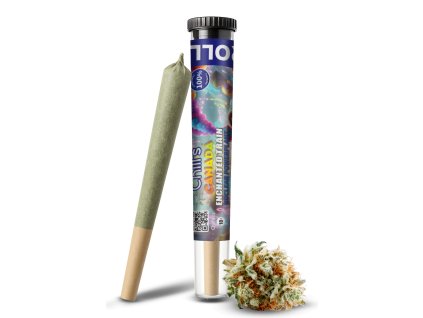 Enchanted Train Preroll Mockup Mulitiple
