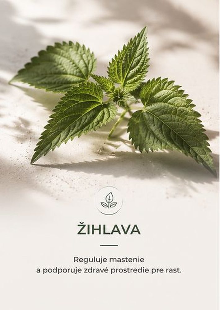 Žihľava