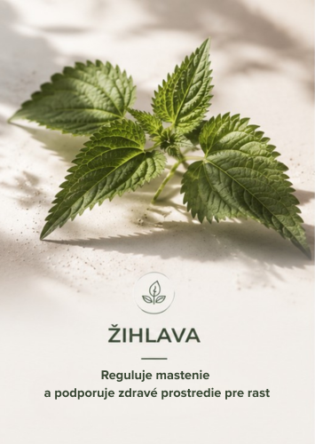 Žihľava