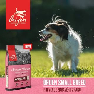 🐶 ORIJEN SMALL BREED🐕 S radostí Vám představujeme nové krmivo Orijen pro malá plemena. Volně chované kuře, krůta,...
