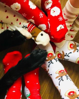 Krásné a klidné svátky přejeme❤️🐾🎄🎁 M&P&M&P&M&D