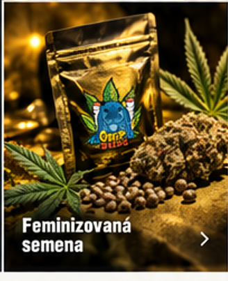 Zlatá kolekce semen