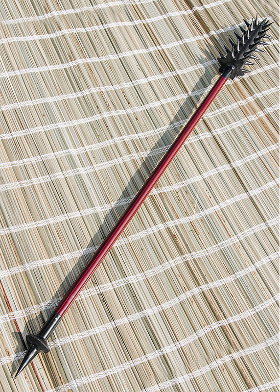 Chladné Zbraně Shaolinská palice "DRAGON'S TAIL" kung fu