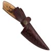 Pevný nůž "PANTHER STRIKE" s koženým pouzdrem