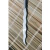 kung fu "FLAME QIANG"