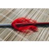 kung fu "FLAME QIANG"