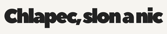 Chlapec slon a nic