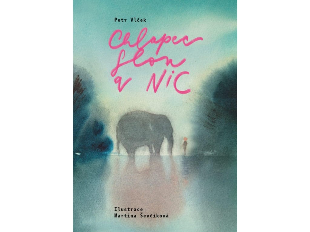 obal knihy chlapec slon a nic