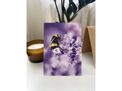 3 IMG 0583