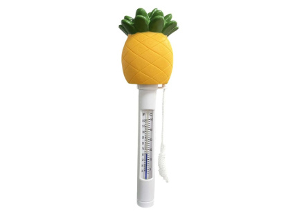 16414 1 plovouci teplomer s provazkem ananas