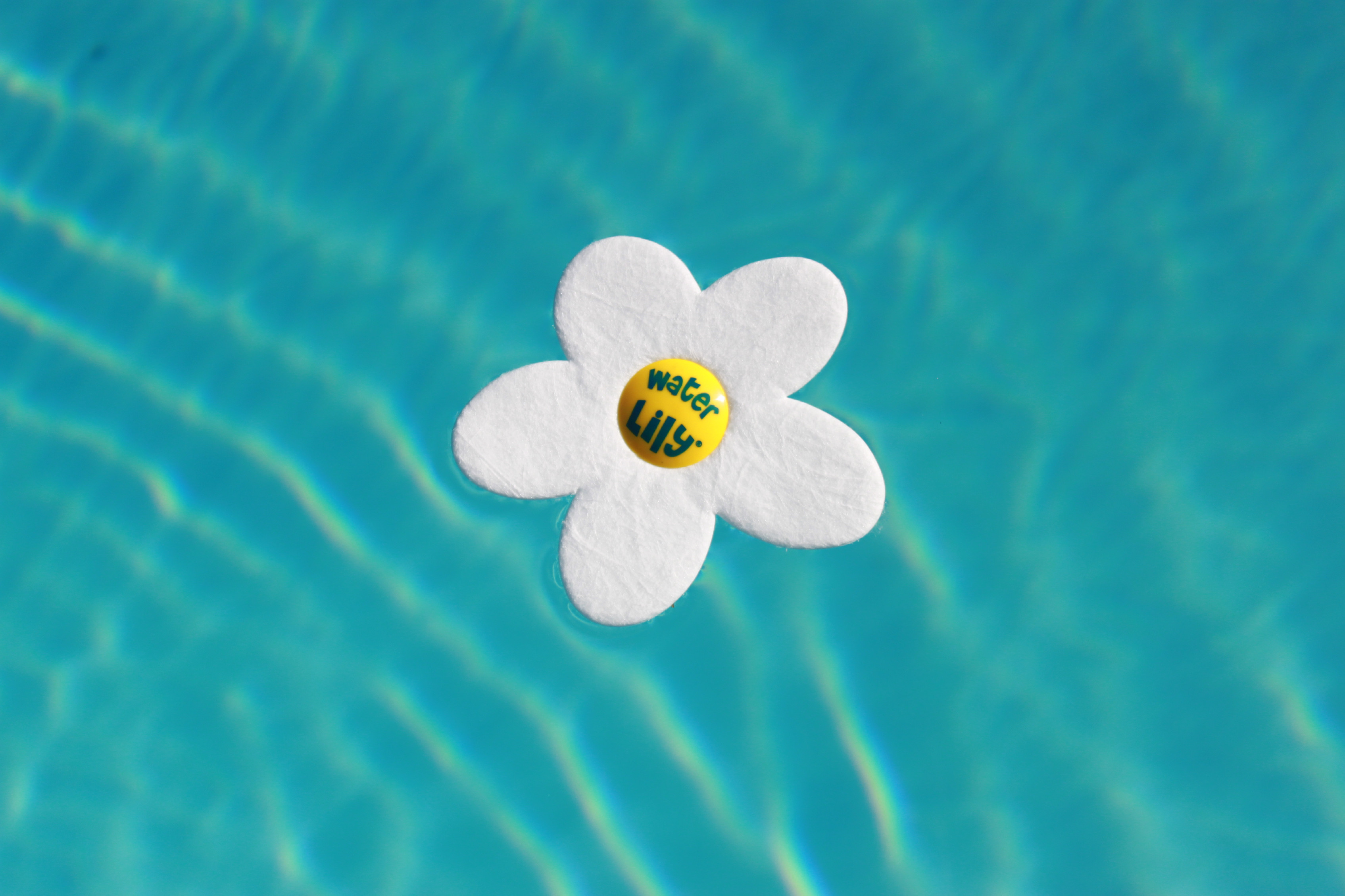 Levně Absorpční houbička na mastnoty Water Lily