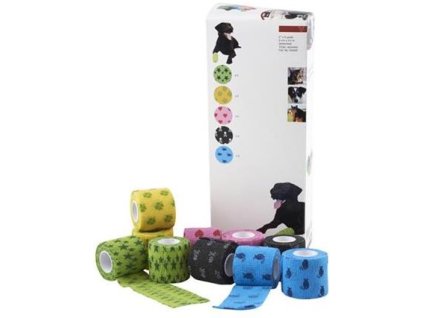 Bandaz KRUUSE Fun Flex Pet 5cm x 4,5m 10ks