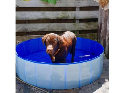 duvo bazen pre psov velkost 120x30cm