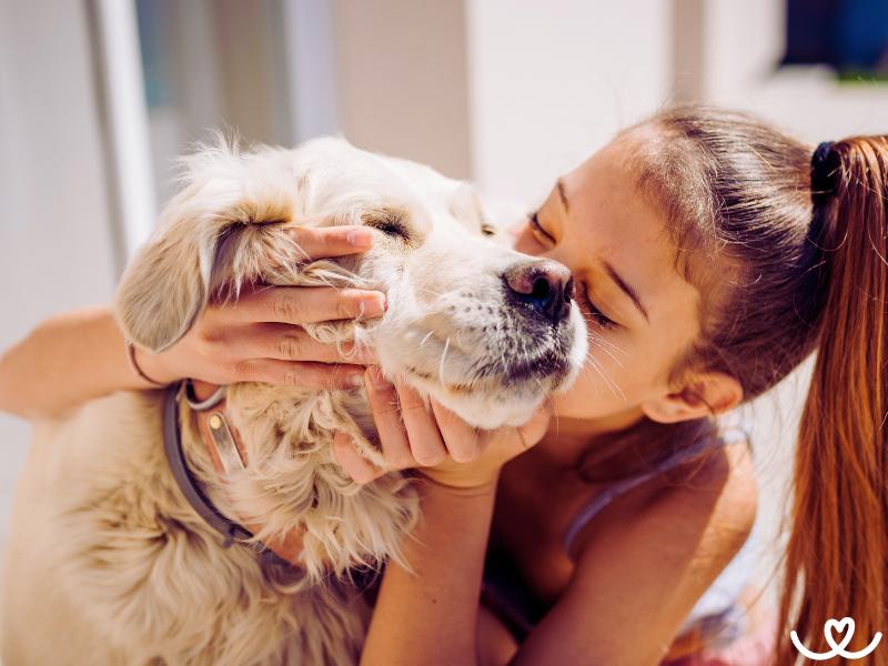 Proč se nebát adopce starého pejska