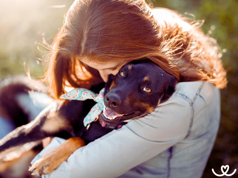 Jak pes zlepšuje vaše zdraví a život