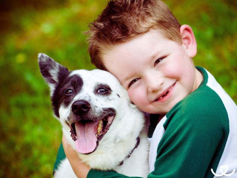 Psí plemena, která jsou vhodná k dětem
