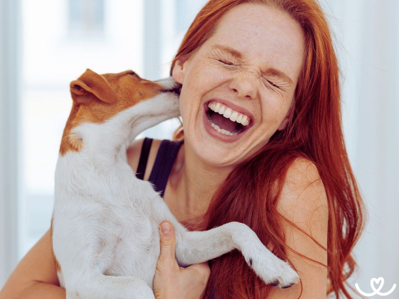 Proč mě pes olizuje?