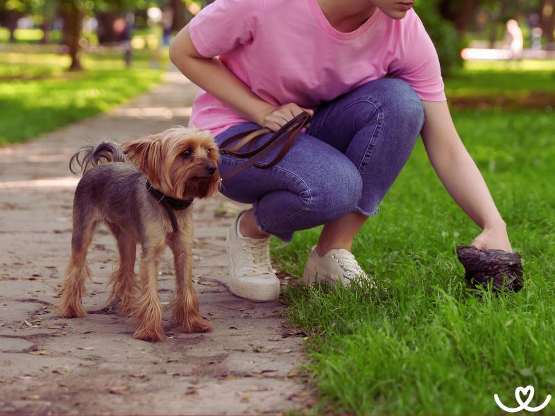 6 důvodů, proč po svém pejskovi sbírat bobky