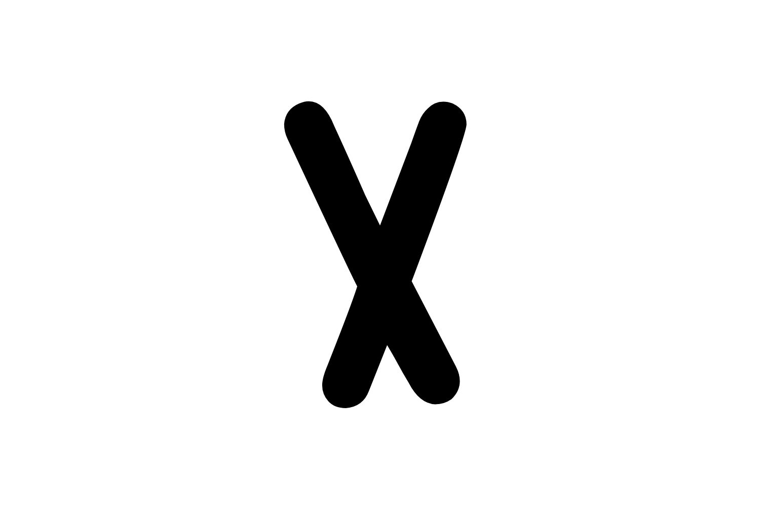 Kočičí plemena od písmene: X