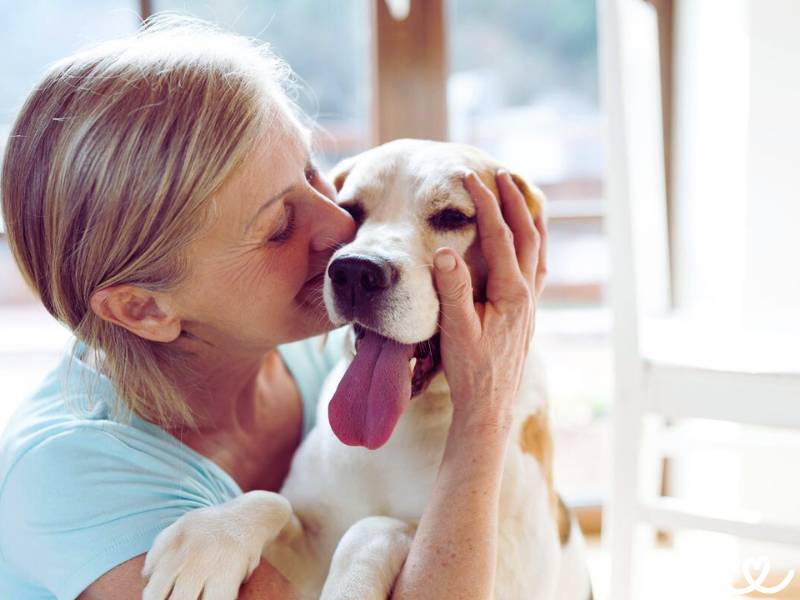 Jaký pes se hodí pro důchodce?
