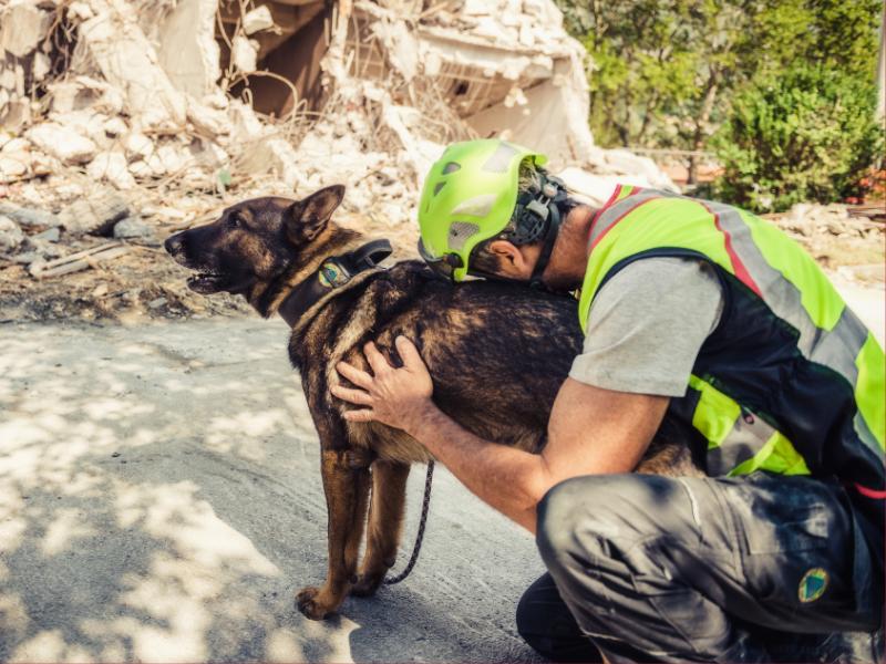 Psí plemena, která vynikají jako záchranáři
