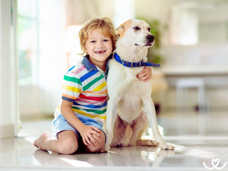 Malý psovod: Trénovat psa můžou i děti