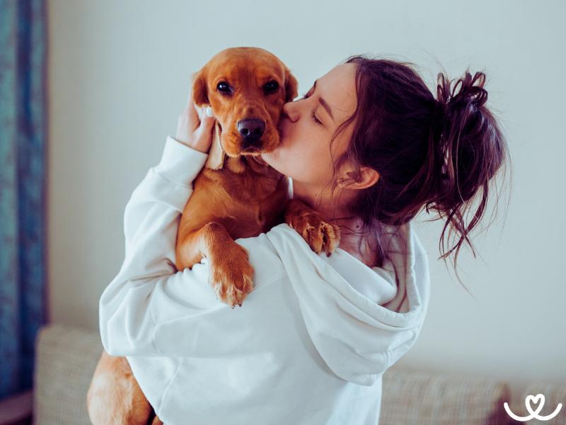 Vášnivý pejskař nebo módní guru: Jaký jste typ pejskaře?