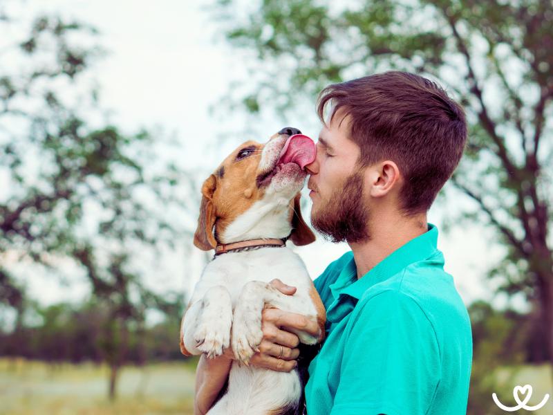 Zlozvyky pejskařů: Úsměvné i otravné chování kolem psů