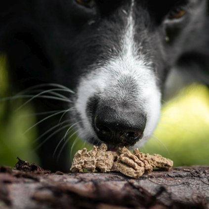 Pamlsky pro psy s nemocnou slinivkou ryba