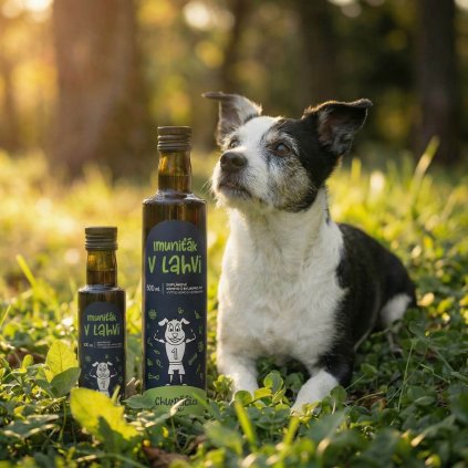 Sirup na imunitu pro psy a kocky (4)