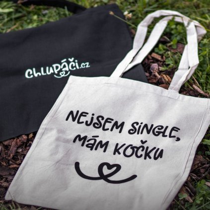 Taska nejsem single mam kocku (5)