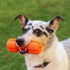 Hracka na zuby pro psy (12)