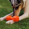 Hracka na zuby pro psy (9)