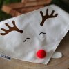 Vanocni satek pro psy Rudolf (1)
