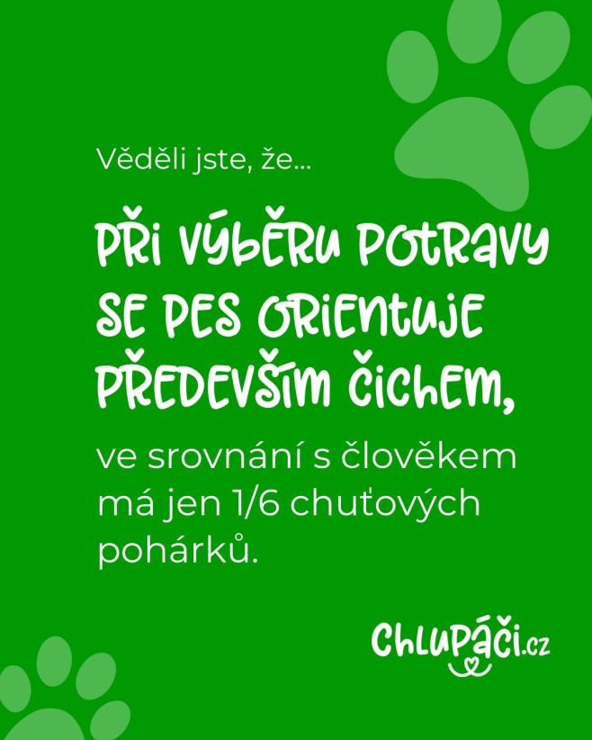 Věděli jste to...? 🤪