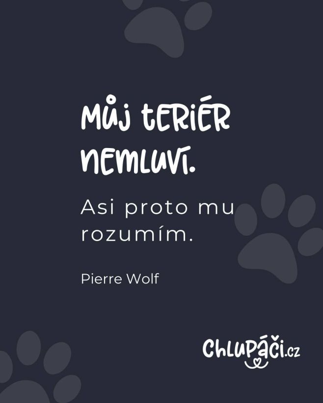 Psi jsou zlatí! ❤️