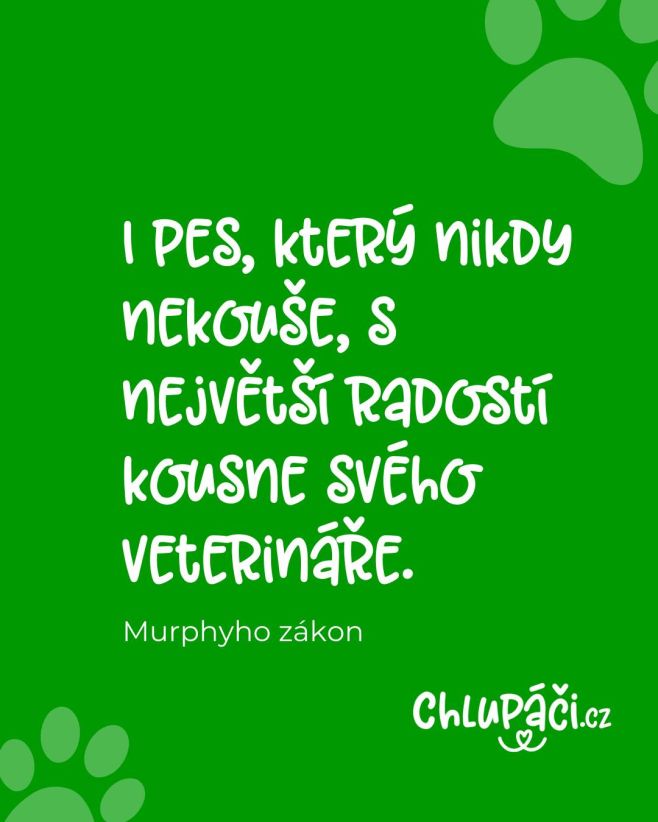 Potvrdilo 5 z 5 veterinářů! 🤪