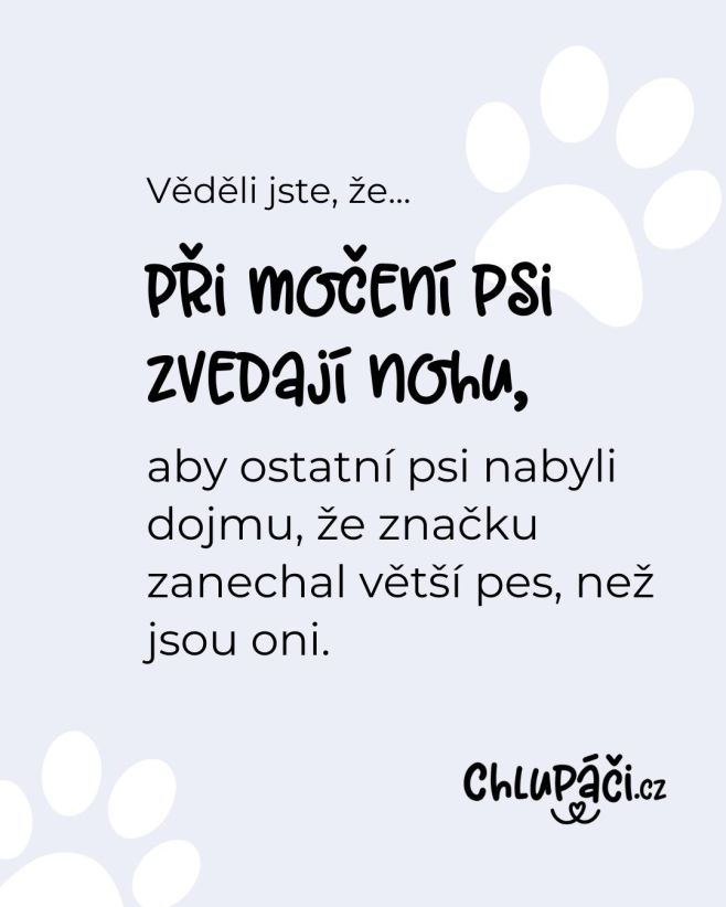 Věděli jste to?