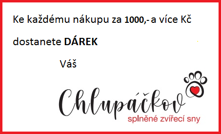 Dárek