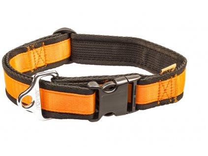 popruhovy obojek jednobarevny 40mm 3