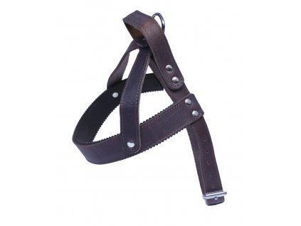 sluzebni postroj s uchem 1