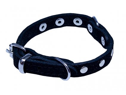 obojek sunny zdobeny nyty