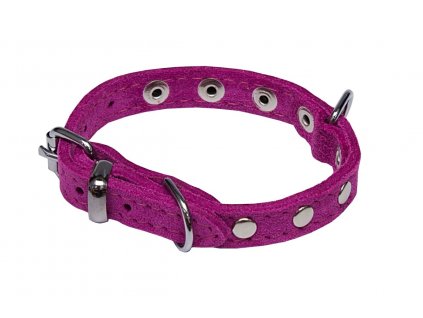 obojek sunny zdobeny nyty 2