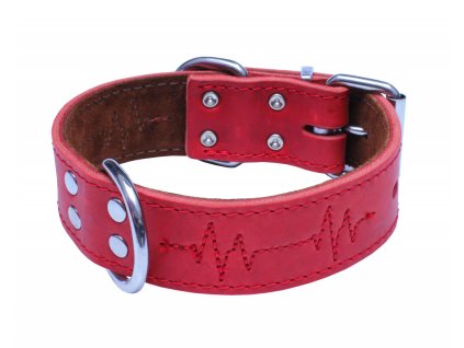 obojek ekg z mastene kuze 1