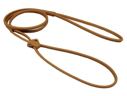 predvadeci voditko z site kulate kuze 1